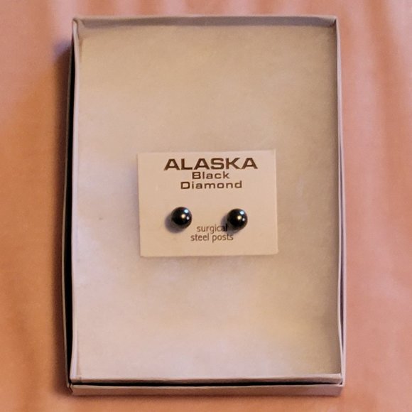 ❣️HP❣️ Alaska black Diamond surgical steel posts - never worn - Picture 3 of 3